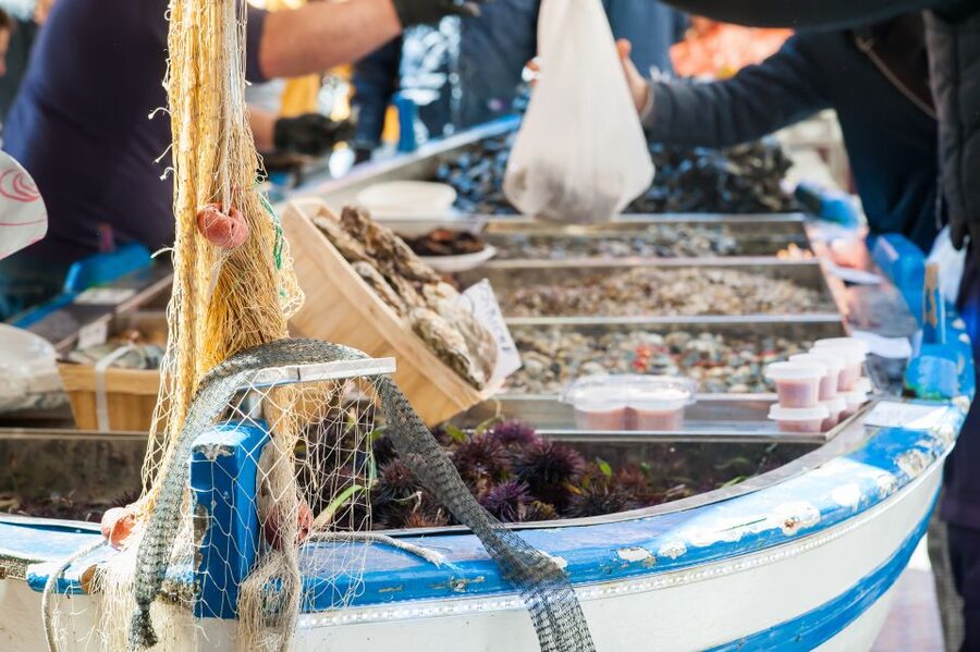 Milan: Market and Meal at a Local's Home - The Value of a Small Group and Real Table Talk