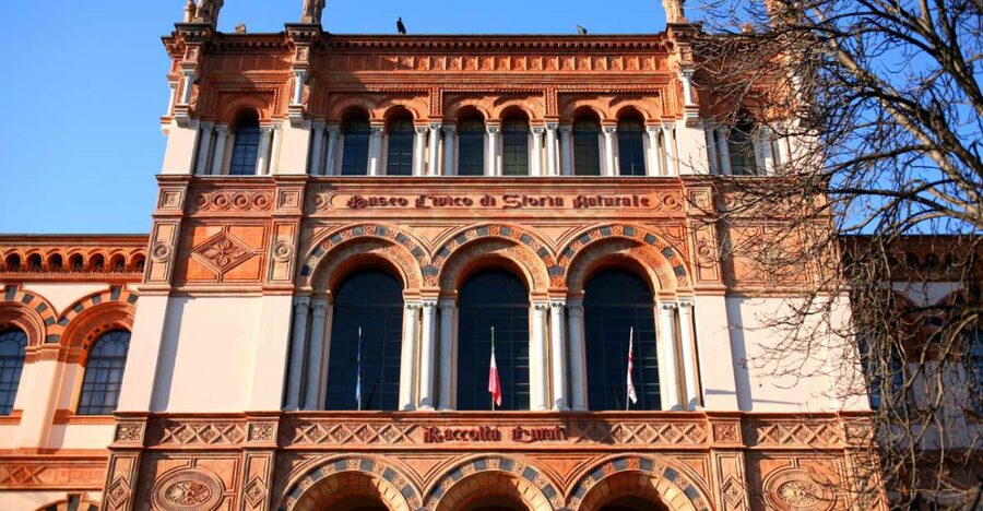 Milan: Natural History Museum Entry Ticket & Audio Guide - Quick Highlights Before You Go