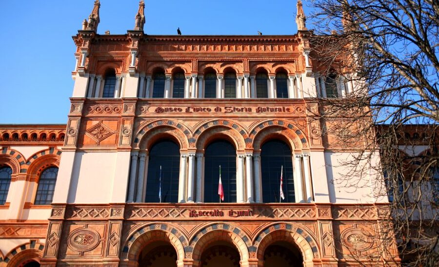 Milan: Natural History Museum Entry Ticket & Audio Guide - Mineralogy, Minerals, and Formations: Why the Science Feels Physical