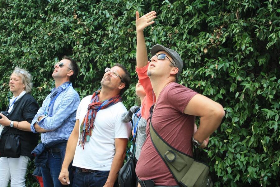 Milan: Piazza Gae Aulenti and Pelli Tower Walking Tour - How the 1.5-hour format fits a day in Milan