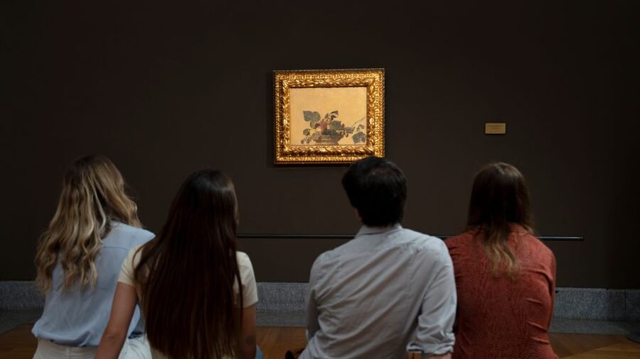Milan: Pinacoteca Ambrosiana and San Sepolcro Crypt Ticket - Pinacoteca Ambrosiana: the Milan art stop that feels quieter (and smarter)