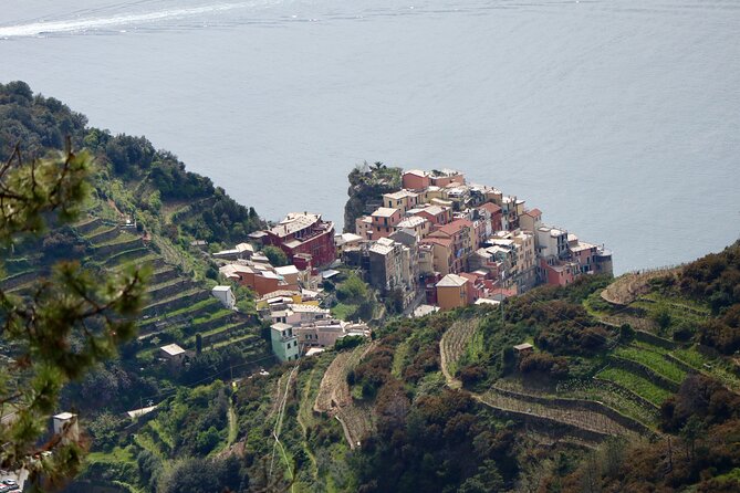 Private Cinque Terre Trek & Tour - Price and value: is $211.64 per person worth it?