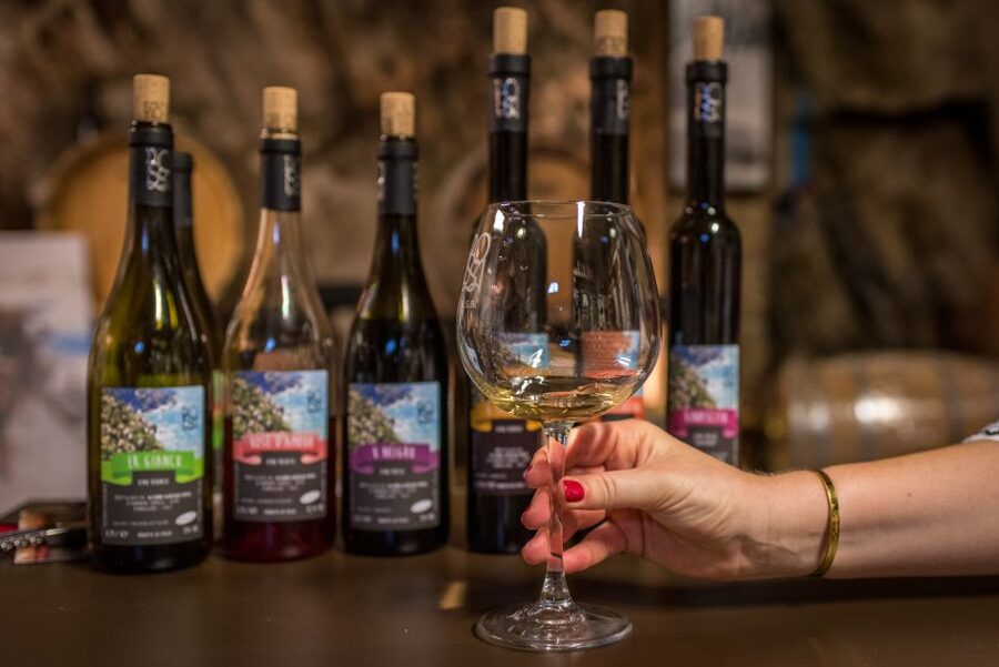 Riomaggiore: Vineyard & Wine Cellar Tour with Wine Tasting - Vertical Vines, Sea-Air Flavor: What Makes This Tour Worth It