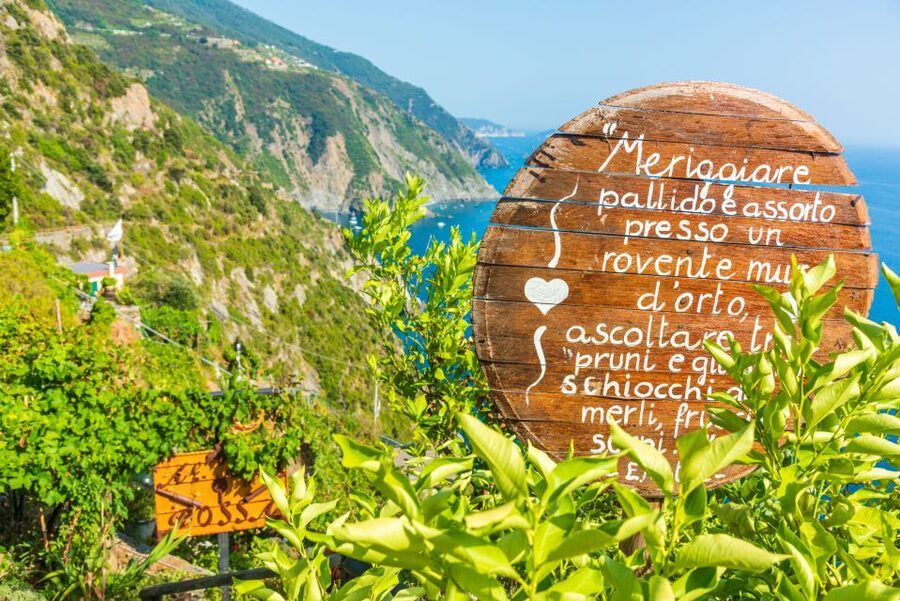 Riomaggiore: Vineyard & Wine Cellar Tour with Wine Tasting - Getting to the Vineyards: Steep Work, Sea Views, and Organic Farming