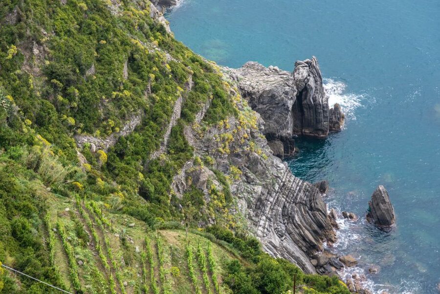 Riomaggiore: Vineyard & Wine Cellar Tour with Wine Tasting - The TripleA Wines Stop: What You’re Really Learning as You Taste
