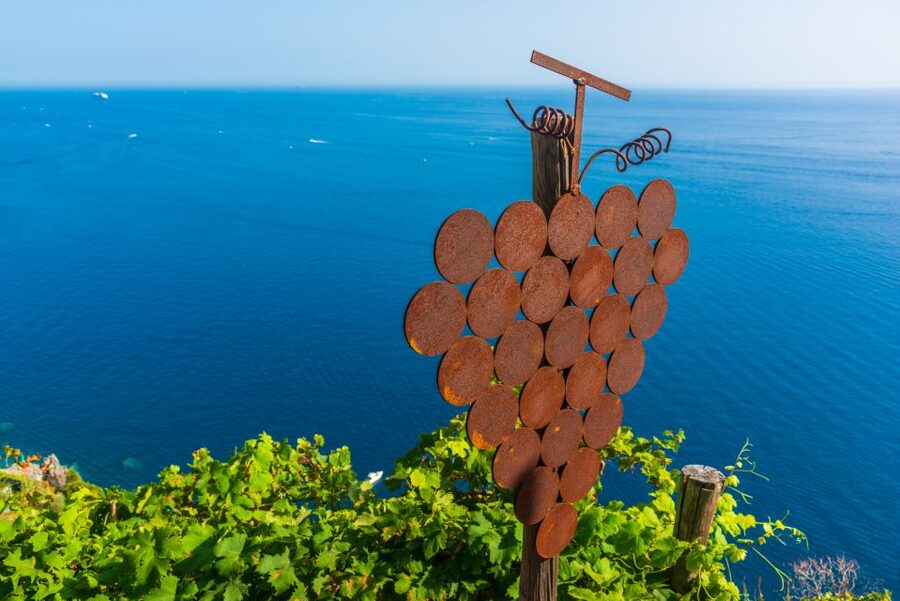 Riomaggiore: Vineyard & Wine Cellar Tour with Wine Tasting - Arriving in Riomaggiore: The Meeting Point and How to Get Started
