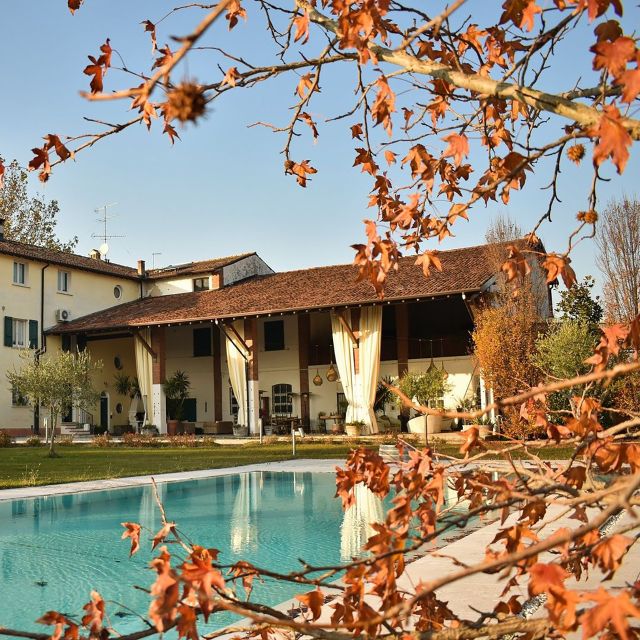 Sirmione: Vineyard Tour with Lugana Wines and Local Tastings - The vineyard walk: Turbiana, sustainable farming, and biodiversity