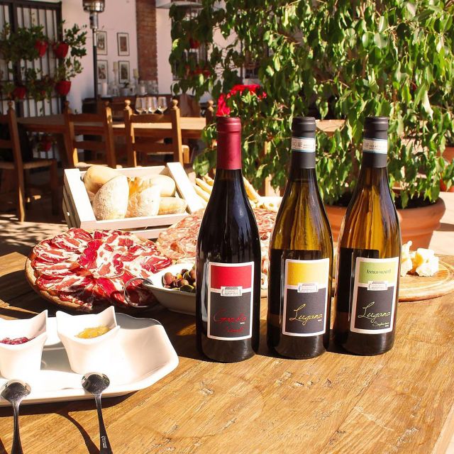 Sirmione: Vineyard Tour with Lugana Wines and Local Tastings - Price and value: why $40 can feel like a bargain