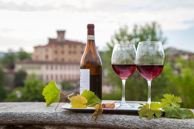 Small-Group Barolo Wine Tasting, Alba & UNESCO Piedmont Hills - The Barolo winery visit: cellar access and the rules behind the glass