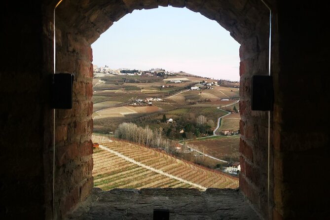 Small-Group Barolo Wine Tasting, Alba & UNESCO Piedmont Hills - What you learn from a guided Barolo tasting, and how it helps later