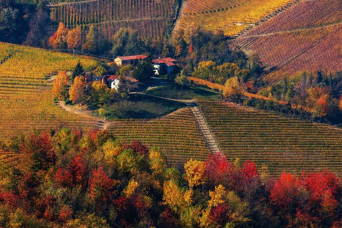 Small-Group Barolo Wine Tasting, Alba & UNESCO Piedmont Hills - Pace, group size, and van comfort from Milan