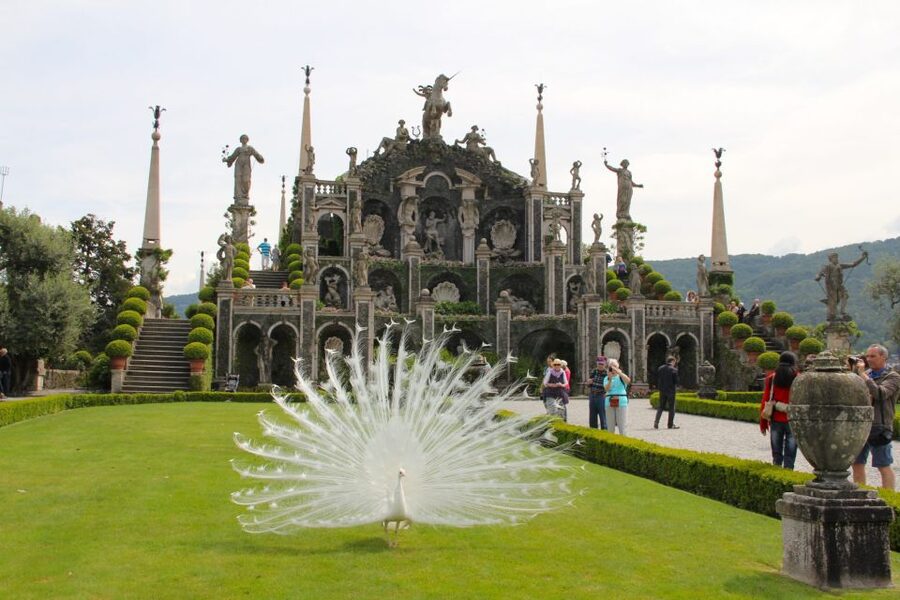 Stresa: 3 Borromean Islands Boat Tour - Pacing tips for a full-day loop (and the 2:00 pm cutoff)