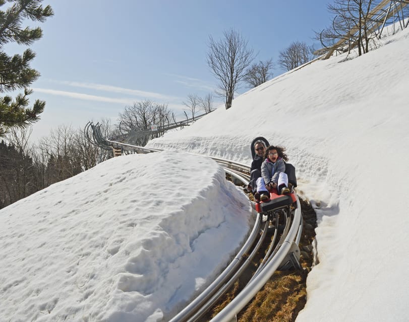 Stresa: Alpyland Alpine Coaster Ride on Mount Mottarone - Alpyland Alpine Coaster on Mount Mottarone: the quick pitch