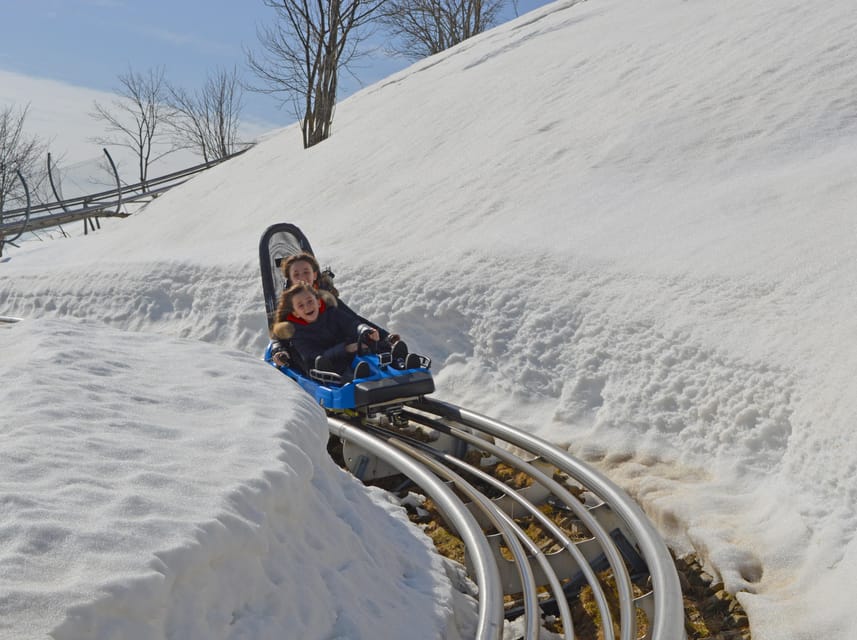 Stresa: Alpyland Alpine Coaster Ride on Mount Mottarone - Planning Your Visit: ticket office first, then the uphill part