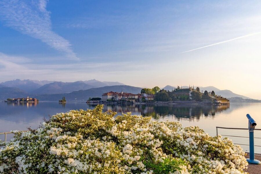 Stresa: Isola Madre and Isola Bella Hop-On Hop-Off Boat Tour - Isola Madre first: gardens, birds, and the cashmere tree