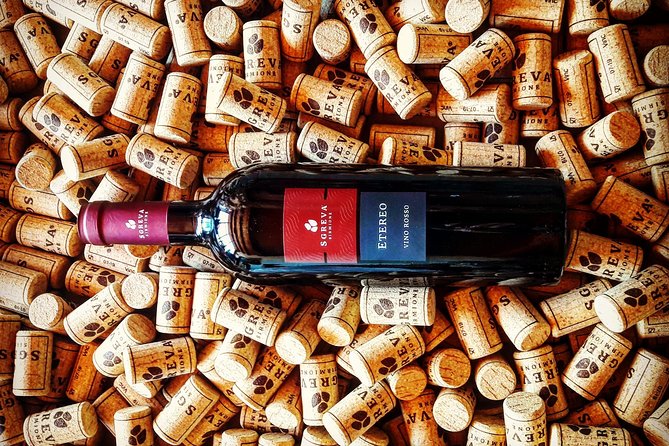 Tour in the Winery and tasting - Price and value: what $35.68 gets you in the real world