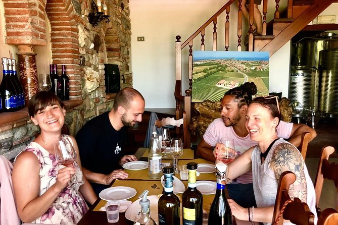 Tour in the Winery and tasting - Getting there from Sirmione: bus, walk, or taxi after the tasting