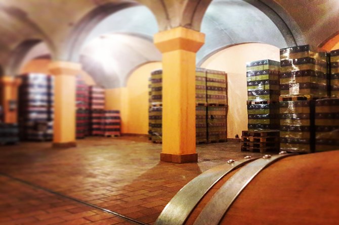 Tour in the Winery and tasting - Who should book this Lugana tasting, and who may want to skip