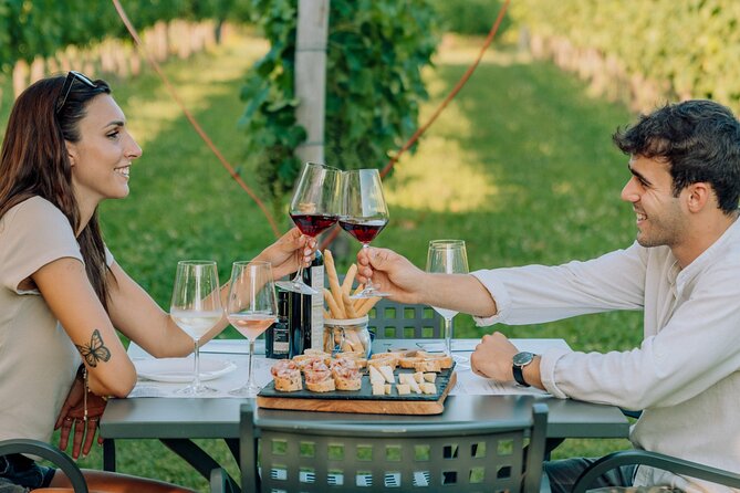 Wine and Food Tasting in the Vineyards in Lazise - Key highlights to know before you go