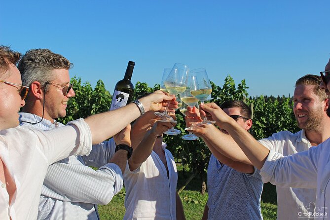 Wine and Food Tasting in the Vineyards in Lazise - What You’ll Drink: Garganega, Chiaretto, Sparkling Whites, and Reds