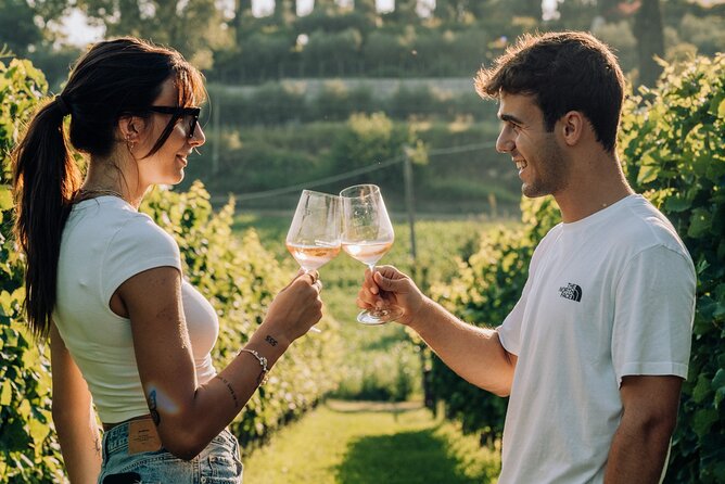 Wine and Food Tasting in the Vineyards in Lazise - The Food Pairing That Makes the Wines Feel Easier to Read