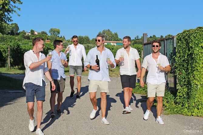 Wine and Food Tasting in the Vineyards in Lazise - Olive Oil on Toast, the Crushing Cellar Moment, and Vineyard Views