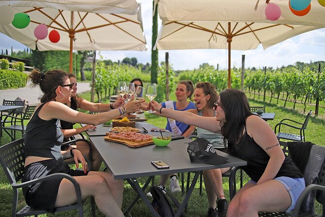 Wine and Food Tasting in the Vineyards in Lazise - Small Group Setup, English-Led Hosting, and How to Get More Out of It