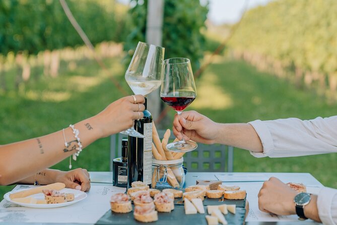 Wine and Food Tasting in the Vineyards in Lazise - Getting There From Lazise Center Without a Headache