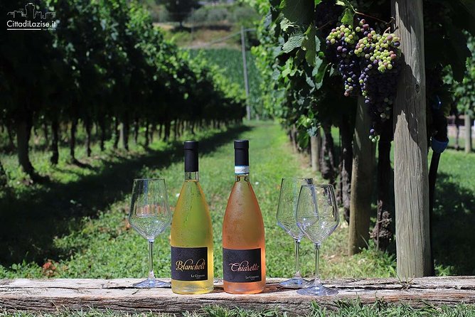 Wine and Food Tasting in the Vineyards in Lazise - Price and Value: What $50.81 Buys You in the Real World