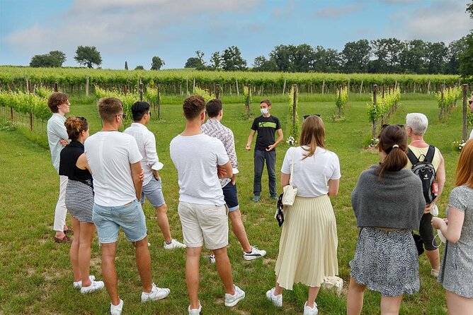 Winery Tour and Tasting of Garda Wines in Lazise - First step: arriving at Bergamini Vini near Lazise