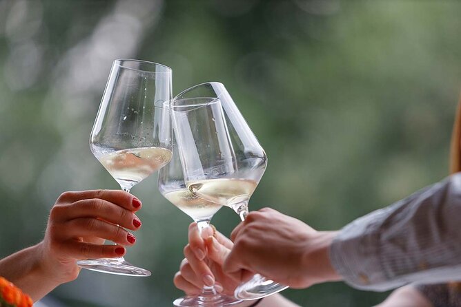Winery Tour and Tasting of Garda Wines in Lazise - The tasting room: at least six Garda wines, plus bites with Garda olive oil