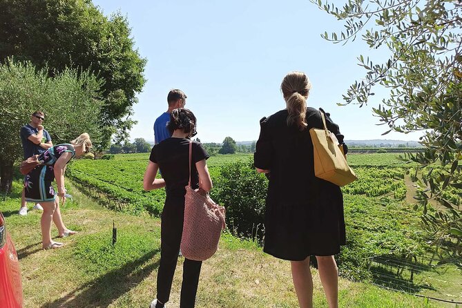 Winery Tour and Tasting of Garda Wines in Lazise - Timing and pacing: a smooth 2-hour block for an evening plan