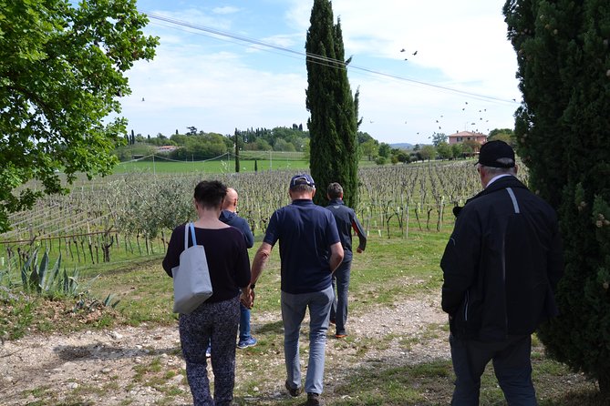 Winery Tour and Tasting of Garda Wines in Lazise - Price and value: is $50.79 worth it?