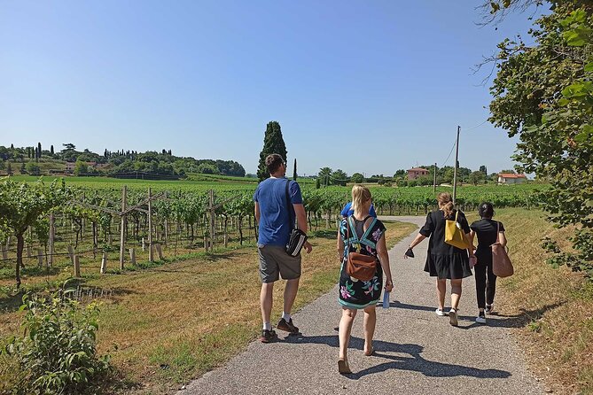 Winery Tour and Tasting of Garda Wines in Lazise - Inside the cellar: seeing the production process without the wine snob act